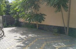 Proprietate cu doua imobile, cu intrari separate, teren cu 330 mp, Cornisa