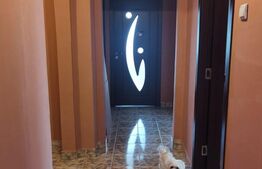 Apartament cu 3 camere, 66 mp, decomandat, Tudor