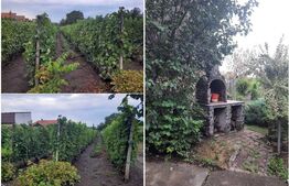 Casa 2 camere, 80 mp, Libertatii