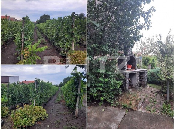 Casa de vânzare 2 camere Libertatii - 102980CV | BLITZ Târgu Mureș | Poza2