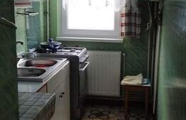 Apartament cu 2 camere, 37 mp, etaj intermediar, Gara Mare