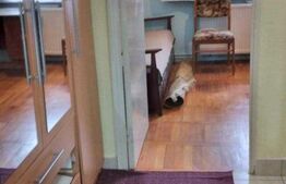 Apartament cu 3 camere, 68 mp, parter, Pandurilor