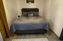 Apartament cu 2 camere, 45mp, semidecomandat, Dambu