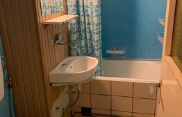 Apartament cu o camera, 28 mp utili, Tudor