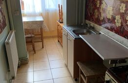 Apartament cu o camera, 28 mp utili, Tudor