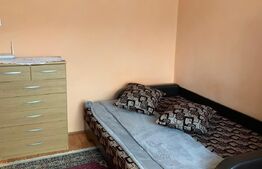 Apartament cu o camera, 28 mp utili, Tudor