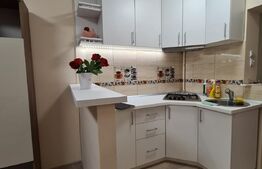 Apartament cu o camera, 28mp, 7 Noiembrie