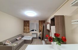 Apartament cu o camera, 28mp, 7 Noiembrie