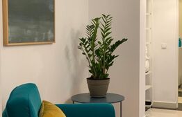 Apartament 2 camere, 45 mp, parter, Cornisa