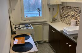 Apartament cu o camera, 30 mp, Tudor