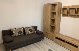 Apartament cu o camera, 30 mp, Tudor