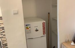 Apartament cu o camera, 30 mp, Tudor
