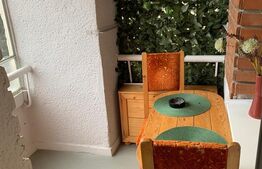 Apartament cu o camera, 30 mp, Tudor