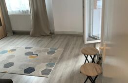 Apartament cu o camera, 30 mp, Tudor