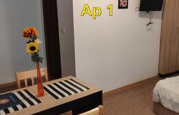 Apartament impartit in 2 garsoniere, 52 mp, Central