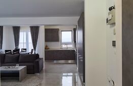 Penthouse 2 camere, terasa, 110 mp, complex Maurer