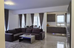 Penthouse 2 camere, terasa, 110 mp, complex Maurer