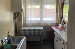 Apartament cu 2 camere, 48 mp, parter, Aleea Carpati