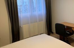 Apartament cu 2 camere, 48mp utili, revonat recent, Cornisa