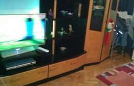 Garsoniera 30 mp, Dambu Pietros 