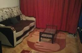 Garsoniera 30 mp, Dambu Pietros 