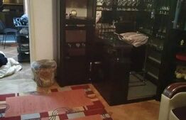 Garsoniera 30 mp, Dambu Pietros 