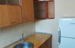 Apartament cu o camera, 30 mp, Bulevardul 1848