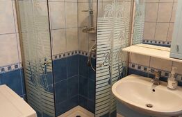 Apartament cu o camera, 30 mp, Bulevardul 1848