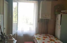 Apartament cu 3 camere, 66 mp, parter, Tudor