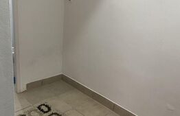 Apartament cu o camera, 30 mp, Tudor