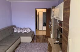Apartament cu 2 camere, etaj intermediar, Dambu Pietros