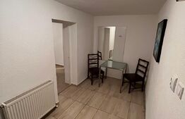Apartament cu o camera, 24 mp, renovat, demisol,  Zona Sangeorgiu de Mures