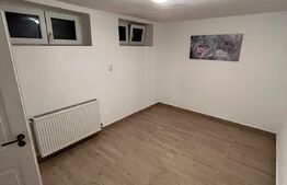 Apartament cu o camera, 24 mp, renovat, demisol,  Zona Sangeorgiu de Mures