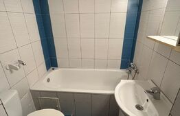 Apartament cu o camera, 24 mp, renovat, demisol,  Zona Sangeorgiu de Mures