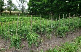 Casa de VANZARE, 65mp utili, 2 camere, zona comuna Sincai