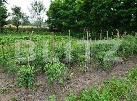 Casa de vânzare 2 camere Periferie - 108141CV | BLITZ Târgu Mureș | Poza3