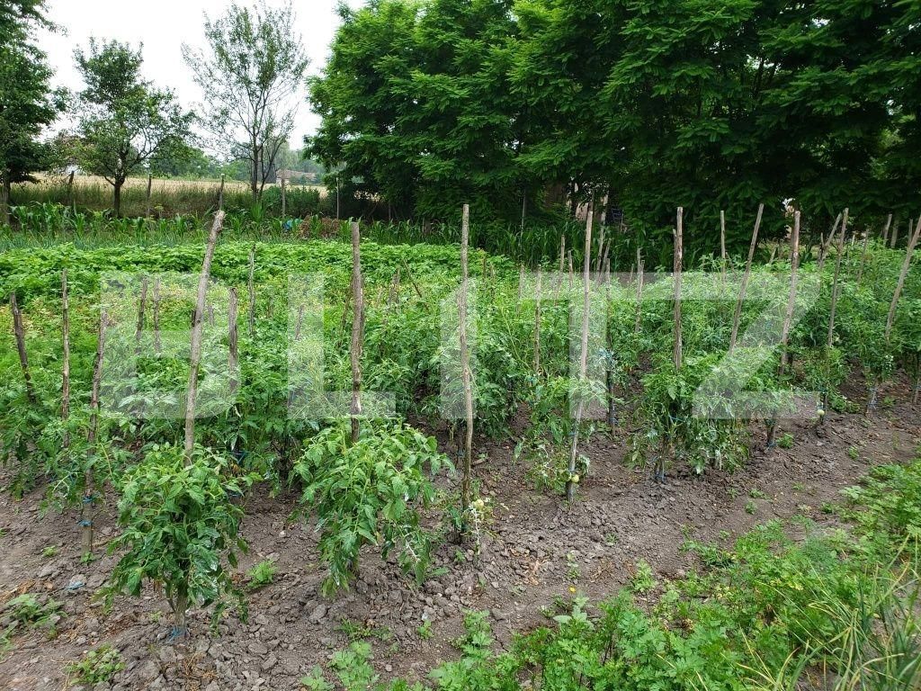 Casa de vânzare 2 camere Periferie - 108141CV | BLITZ Târgu Mureș | Poza3