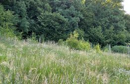 Teren intravilan in Corunca