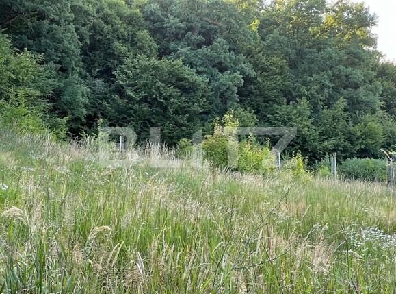 Teren de vânzare Corunca - 108264TV | BLITZ Târgu Mureș | Poza1