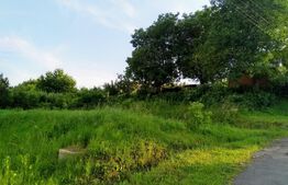 Teren intravilan pe Calea Voinicenilor