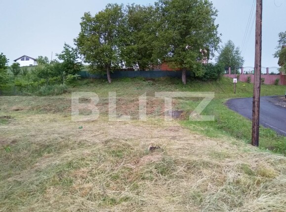 Teren de vânzare Calea Voinicenilor - 108307TV | BLITZ Târgu Mureș | Poza1