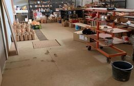 Imobil de locuit cu atelier de ceramica