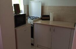 Garsoniera, 25mp, Central