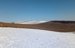 Teren intravilan in Santana