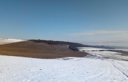 Teren intravilan in Santana