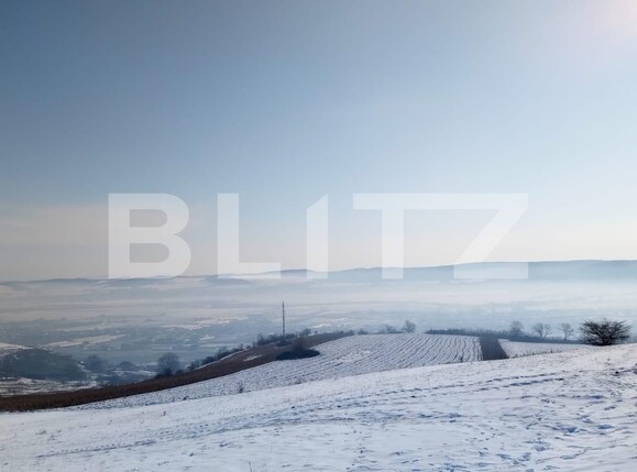 Teren de vânzare Sântana de Mureș - 108482TV | BLITZ Târgu Mureș | Poza3