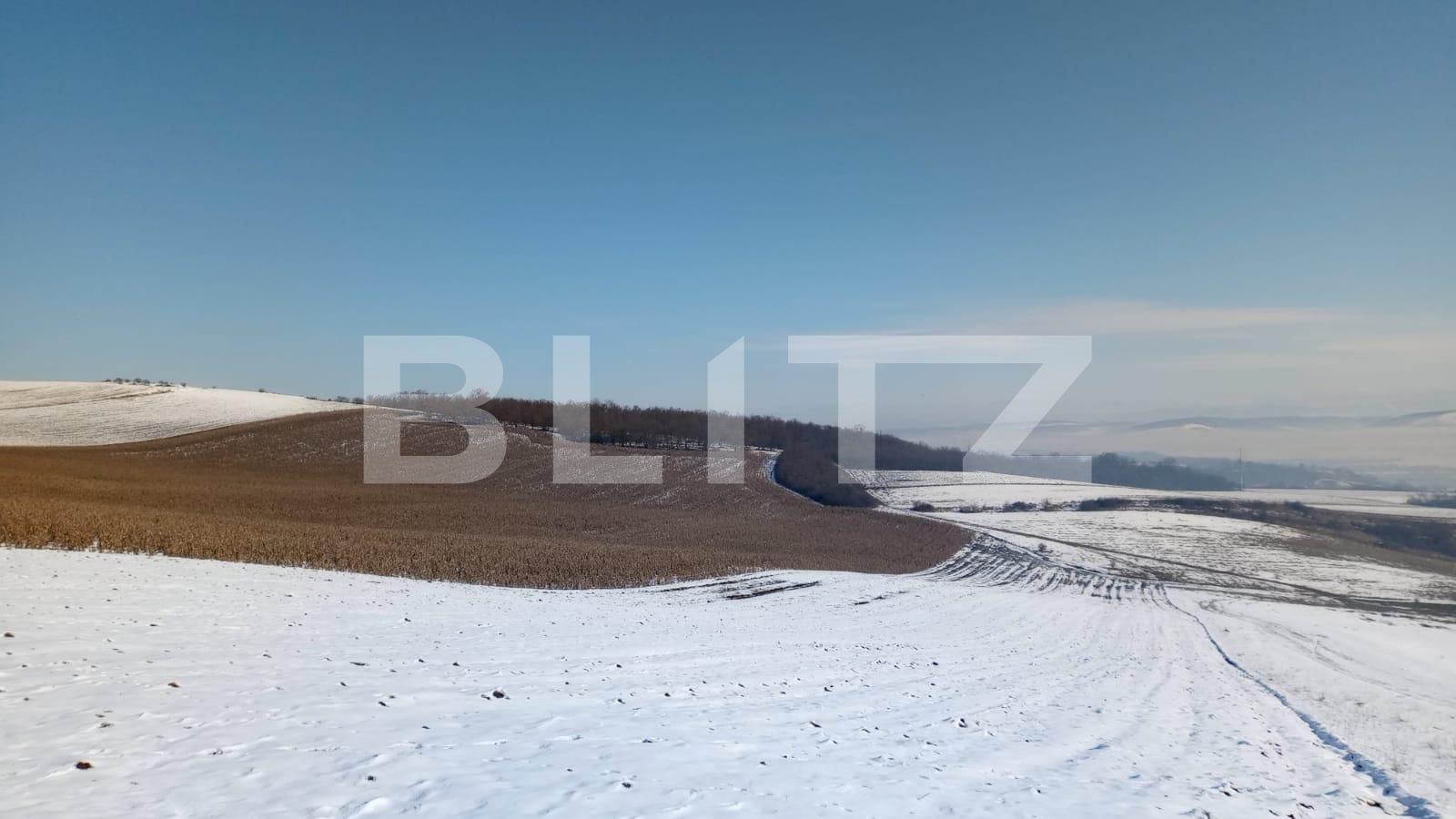 Teren de vânzare Sântana de Mureș - 108482TV | BLITZ Târgu Mureș | Poza2