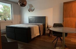 Apartament 2 camere, 50mp, zona Cornisa