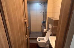 Apartament 4 camere, 115mp, Livezeni