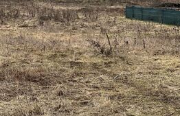 Teren intravilan, 568mp, zona Livezeni